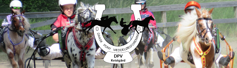 Dansk Pony Væddeløbsforening