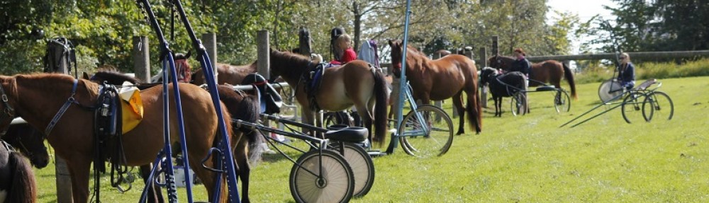 Dansk Pony Væddeløbsforening