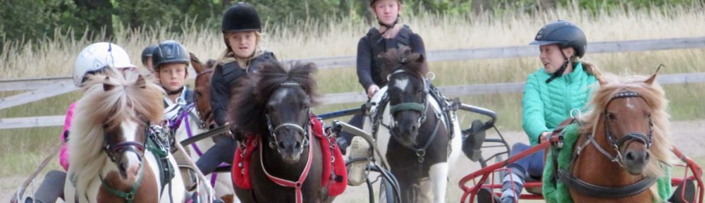 Dansk Pony Væddeløbsforening
