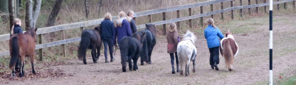 Dansk Pony Væddeløbsforening