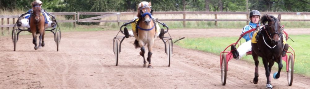 Dansk Pony Væddeløbsforening