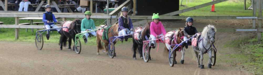 Dansk Pony Væddeløbsforening